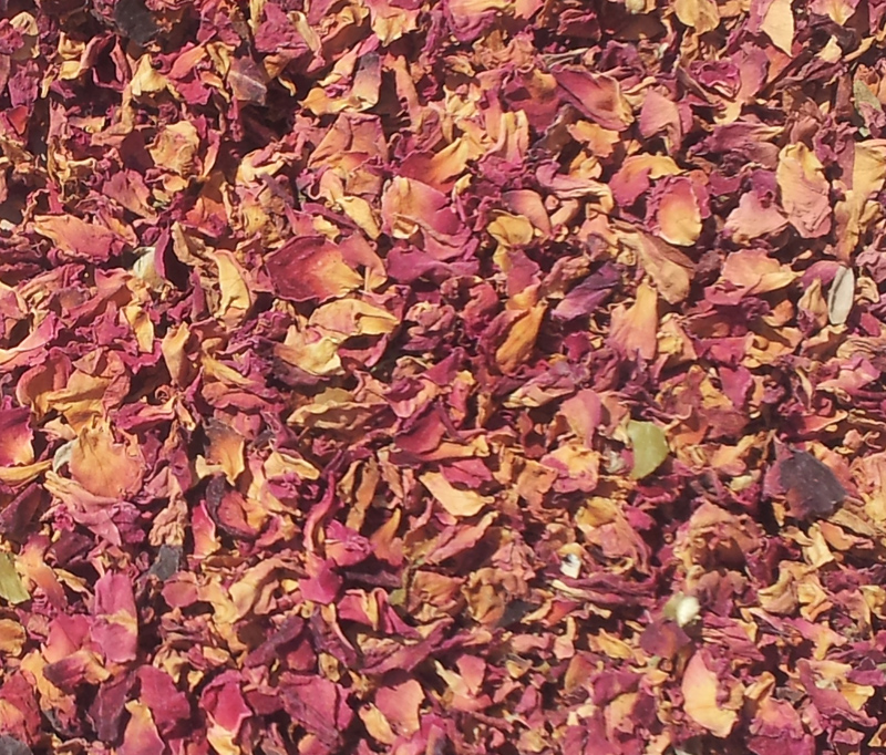 Rosenblütenblätter